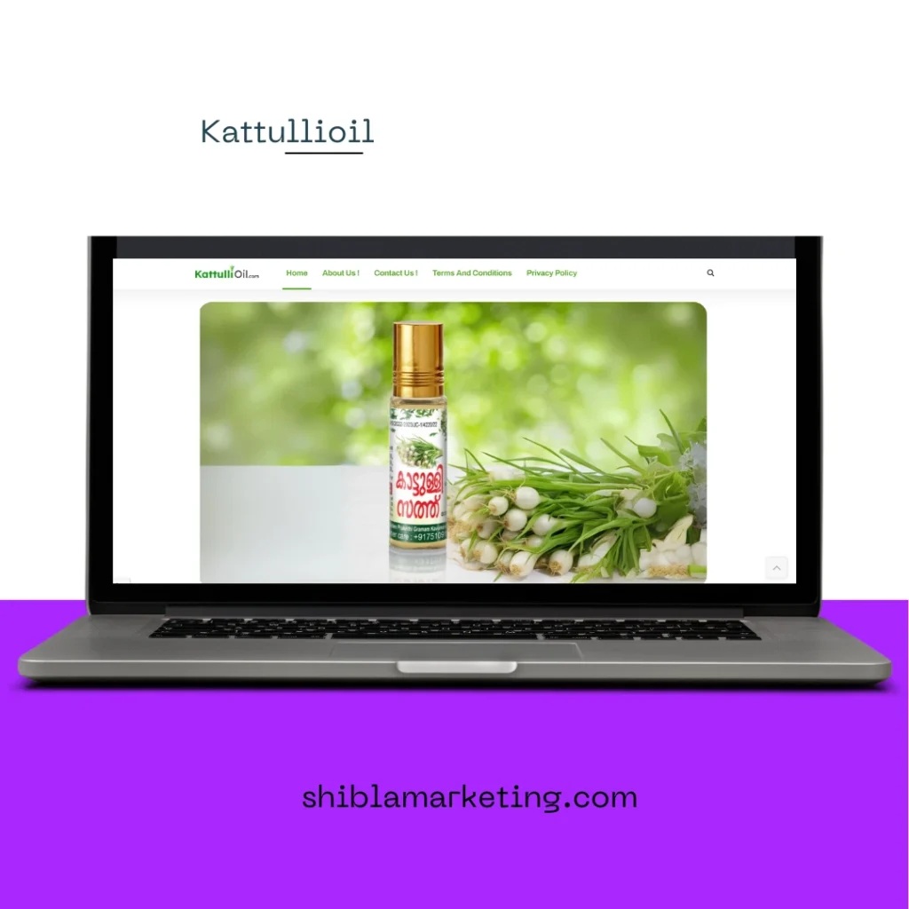 freelance digital marketing expert in palakkad - portfolio