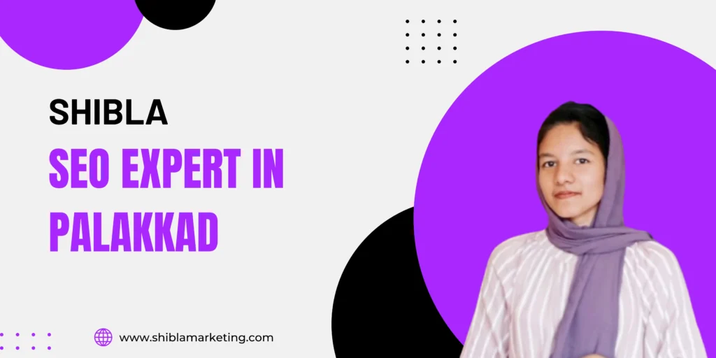 seo expert in palakkad